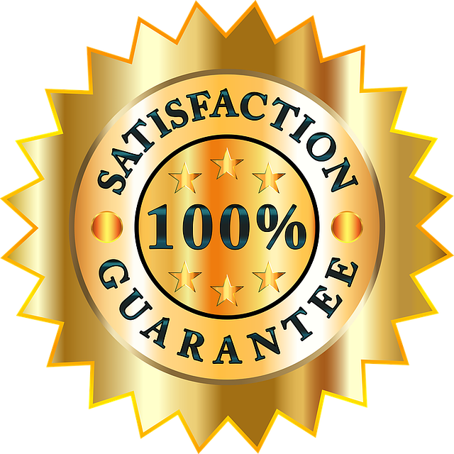 Professional mobile small engine tune ups in Denver 